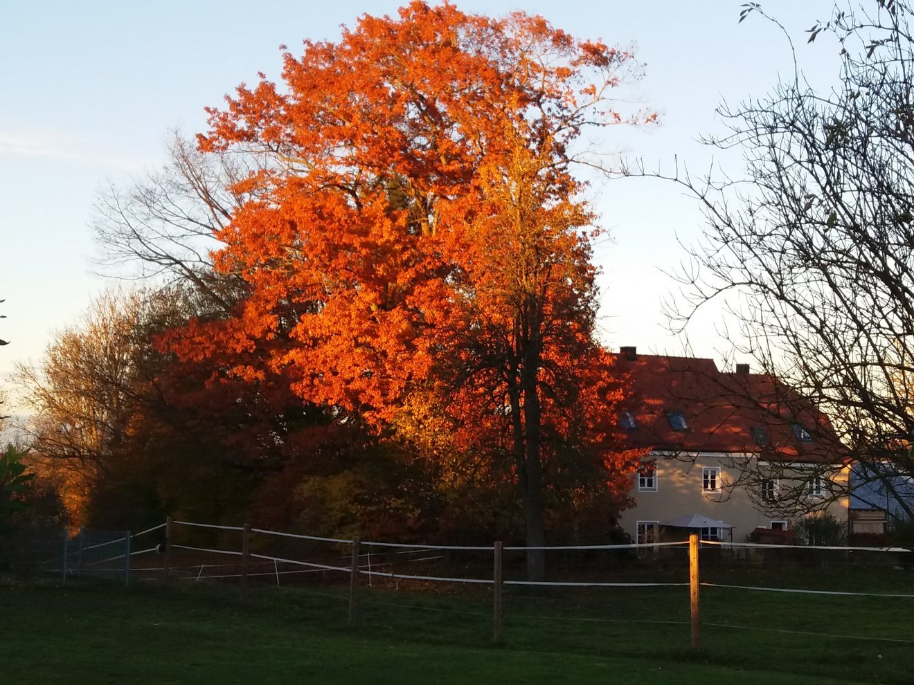 HHBG roter Herbst