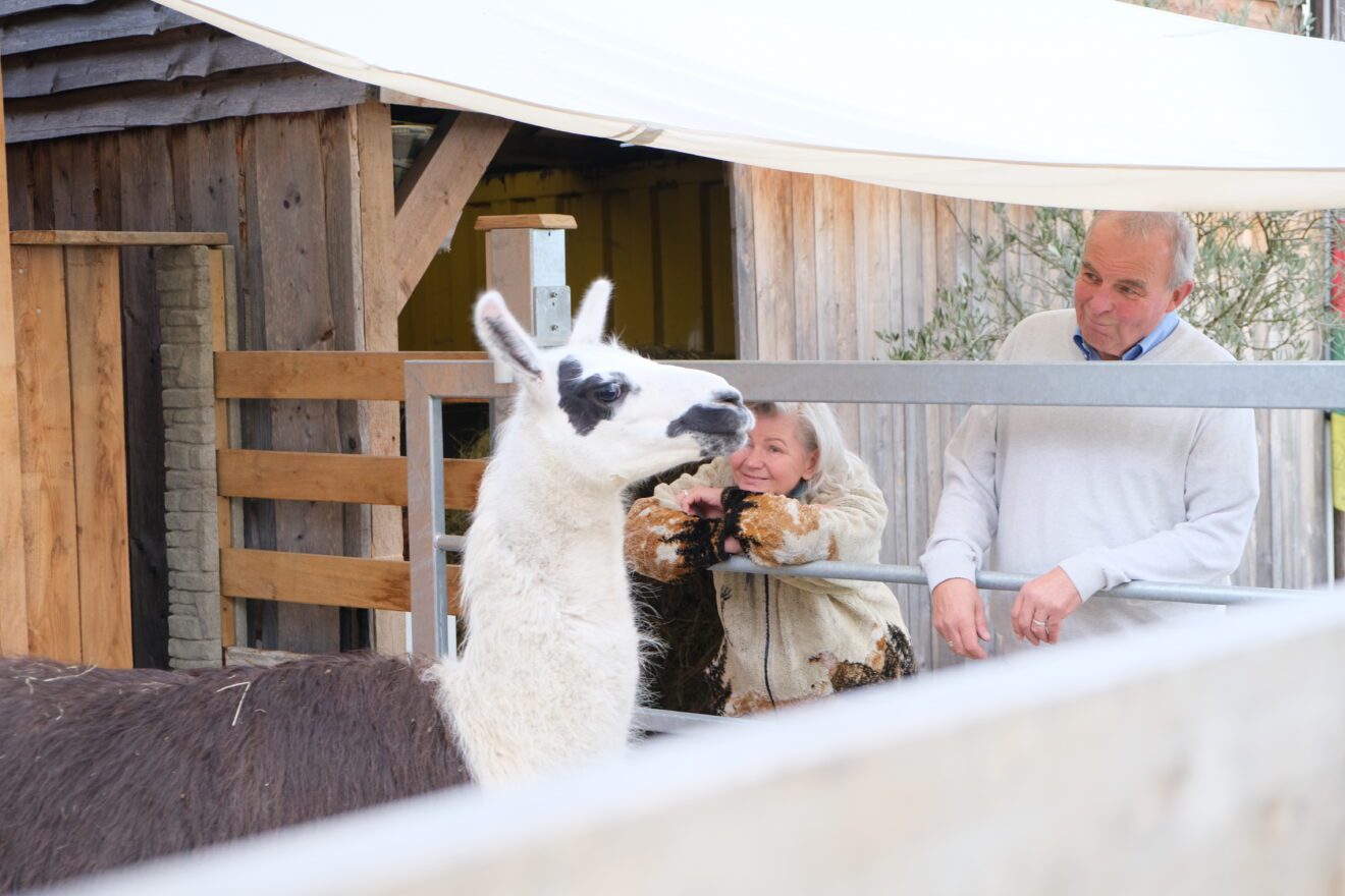 Bärbel und Matthias mit Lama Samuel